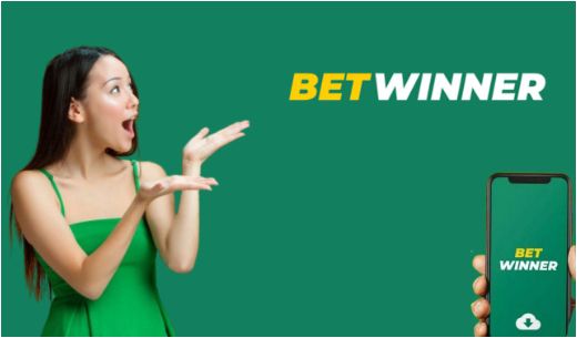 The Rise of BetWinner Gambling Platform in Brazil The Rise of BetWinner Gambling Platform in Brazil