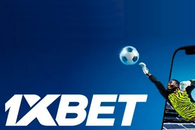 Explore the Features of the 1xBet Official Website -1364280936