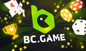 Understanding KYC Procedures at BC.Game USA Understanding KYC Procedures at BC.Game USA